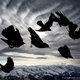 Illustration for article titled The Coolest Images From National Geographic's 2015 Photo Contest
